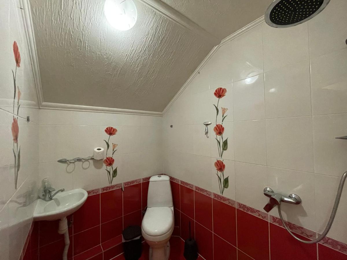 Villa Aeroport Розовый Дом Kişinev Dış mekan fotoğraf